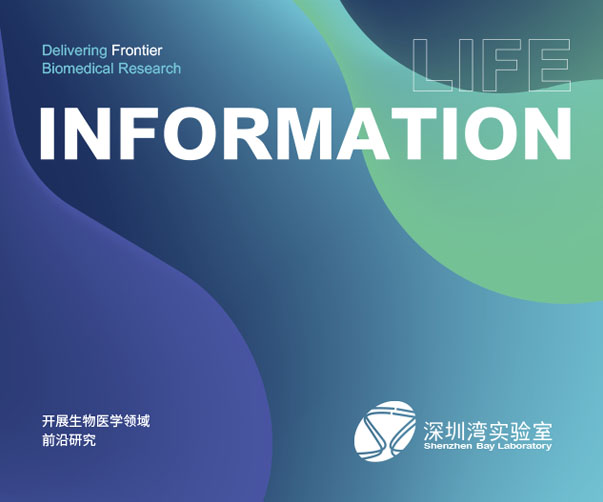 2025年上海品牌設(shè)計(jì)公司輕松掌握Logo設(shè)計(jì)趨勢(shì)